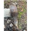 Image 7 : Vintage Logging Tools Lot