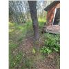 Image 3 : Rusted Metal Grates or Panels