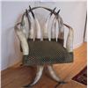 Image 1 : Longhorn Steer Chair