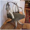 Image 2 : Longhorn Steer Chair