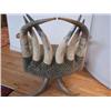 Image 8 : Longhorn Steer Chair