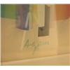 Image 3 : Yaacov Agam signed Agamagraph