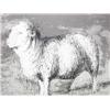 Image 5 : Henry Moore orig litho Sheep in Field