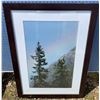 Image 2 : Jasper park Lodge Decor- Framed Mountain Landscape Photographs