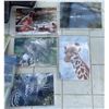 Image 3 : Decor Lot with Wall Art, Hooks, Photos, and Tray