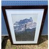 Image 2 : Framed Mountain Landscape Photographs - Display from Jasper Park Lodge
