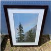 Image 4 : Framed Mountain Landscape Photographs - Display from Jasper Park Lodge