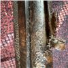 Image 8 : Winchester Model 94 Alberta Diamond Jubilee 1955-1980 Commemorative Rifle
