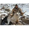 Image 1 : Marco Polo Argali & Tien Shan Ibex