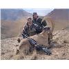 Image 4 : Marco Polo Argali & Tien Shan Ibex