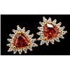 Image 1 : SILVER GARNET (0.6CT) EARRING