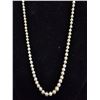 Image 1 : INDIVIDUALLY KNOTTED CREAM FRESHWATER PEARL NECKLACE: