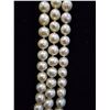 Image 3 : 3-STRAND FRESHWATER PEARL NECKLACE
