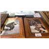 Image 5 : GROUP OF 10 ASSORTED FRAMED PICTURES AND PRINTS