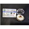 Image 1 : 22KT GOLD PLATED OVAL CUT NATURAL RUBY RING WITH NGTL CERTIFICATE: SIZE 5