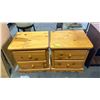 Image 1 : PAIR OF 2 DRAWER NIGHT STANDS