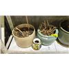 Image 2 : SHELF OF ASSORTED PLANTER POTS & 1 PLANTER POT STAND