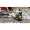 Image 2 : RYOBI GAS POWERED WEED TRIMMER