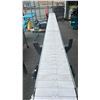 Image 3 : PORTABLE MOTORIZED BELT CONVEYOR