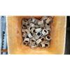 Image 3 : PALLET OF HEAVY DUTY GALVANIZED INDUSTRIAL CARRIAGE BOLTS & HARDWARE *MUST TAKE ALL ON PALLET*