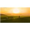 Image 4 : Tuscan Bliss for 4