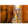 Image 3 : The Ultimate Bourbon Getaway