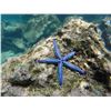 Image 1 : Galápagos: Wild Wonders Await