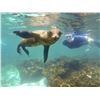 Image 5 : Galápagos: Wild Wonders Await