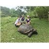 Image 6 : Galápagos: Wild Wonders Await