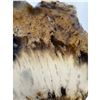 Image 4 : 8  INCH  NATURAL UNQUIE FORMATIOM AGATE SLICE