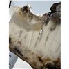 Image 5 : 8  INCH  NATURAL UNQUIE FORMATIOM AGATE SLICE