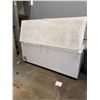 Image 2 : Large Commercial Chest Freezer White 115V