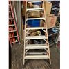 Image 2 : 12' Step Ladder