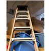 Image 4 : 12' Step Ladder
