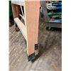 Image 6 : 12' Step Ladder
