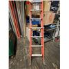 Image 2 : Extension Ladder