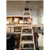 Image 3 : Werner Step Ladder 10'H
