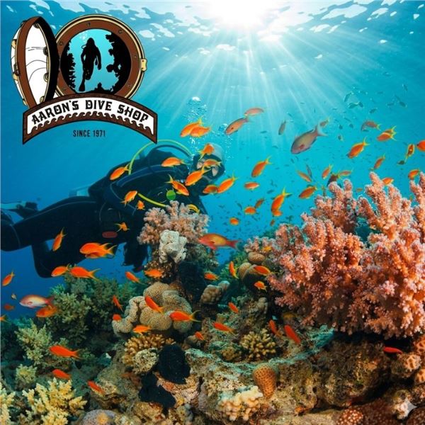 Discover Scuba Dive Experience, Oʻahu