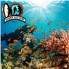 Image 1 : Discover Scuba Dive Experience, Oʻahu