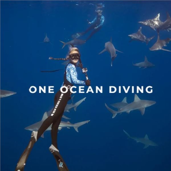 Freedive & Shark Research Snorkel Experience for Two, Oʻahu