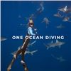 Image 1 : Freedive & Shark Research Snorkel Experience for Two, Oʻahu