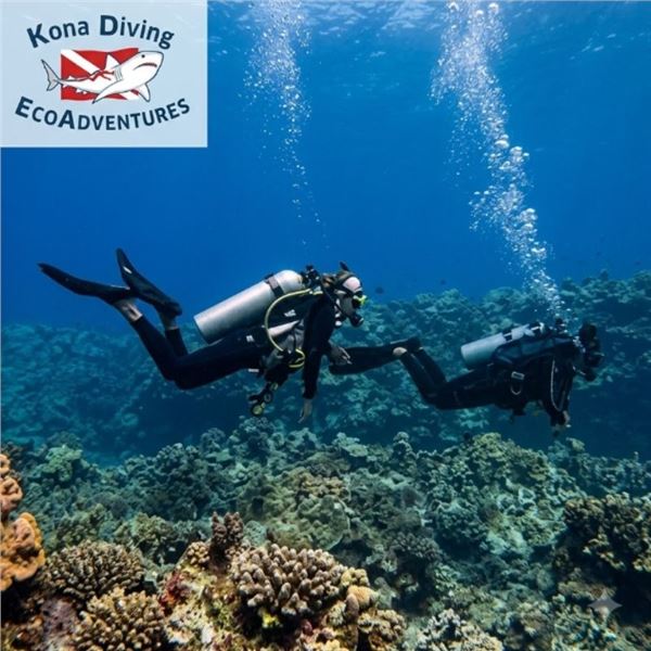 3-Hour Manta Ray Night Snorkel EcoAdventure for Two
