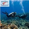 Image 1 : 3-Hour Manta Ray Night Snorkel EcoAdventure for Two