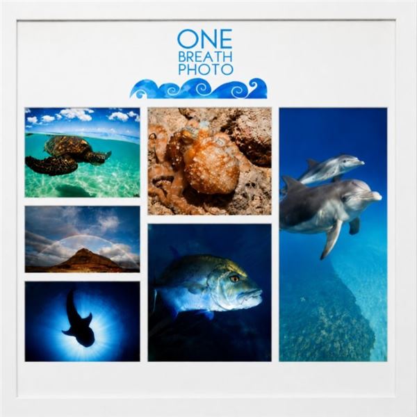 8" x 10"  One Breath Photography Ocean Life Print Collection