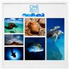 Image 1 : 8" x 10"  One Breath Photography Ocean Life Print Collection
