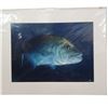 Image 2 : 8" x 10"  One Breath Photography Ocean Life Print Collection