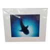 Image 5 : 8" x 10"  One Breath Photography Ocean Life Print Collection