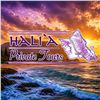 Image 1 : Private Half Day Oʻahu Tour for Up to 10 Guests
