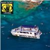 Image 1 : Deluxe Snorkel Tour & Dolphin Watch for Two