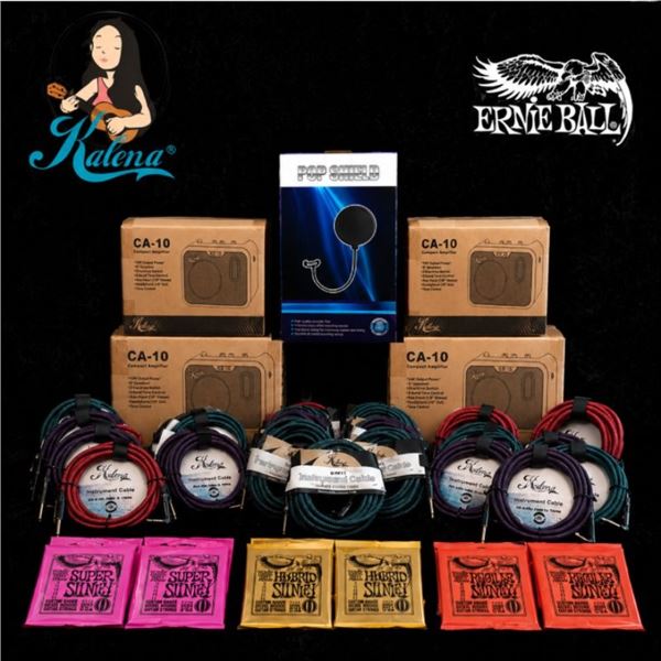 Instrument Essentials Lot Featuring Kalena & Ernie Ball, Inc.